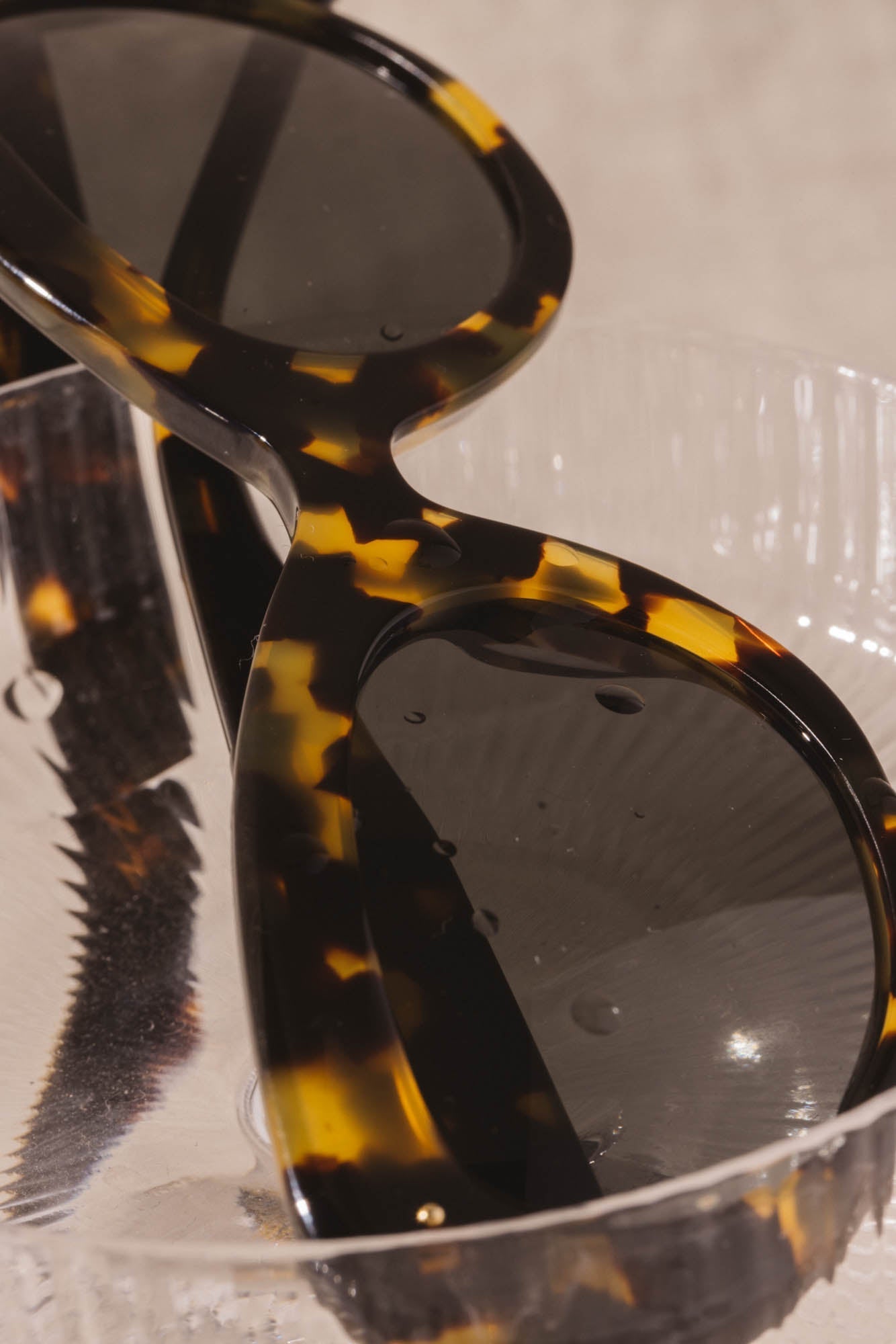 Lunettes Charlotte tortoise noir